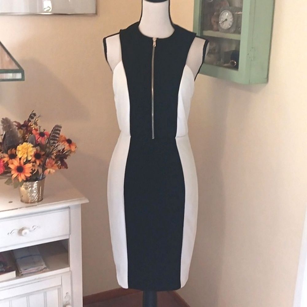 Alexia Admor Colorblock Dress - Picture 3 of 15